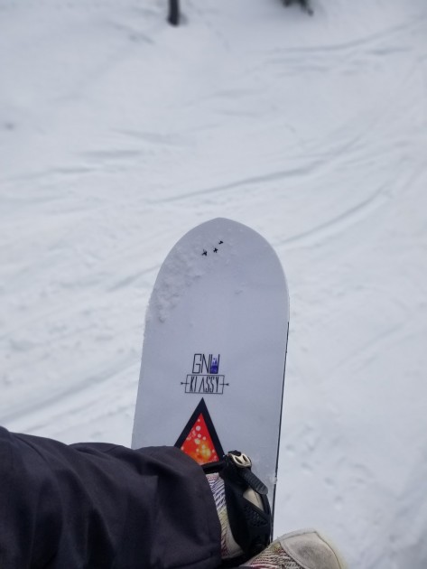 gnu klassy - the klassy features a directional profile with an extended nose.