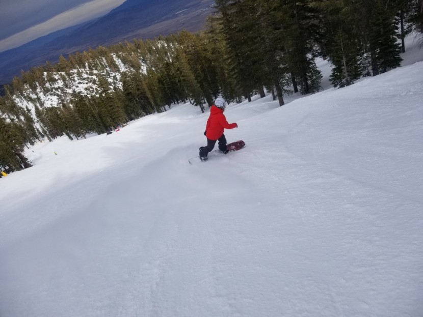 jones mind expander for women