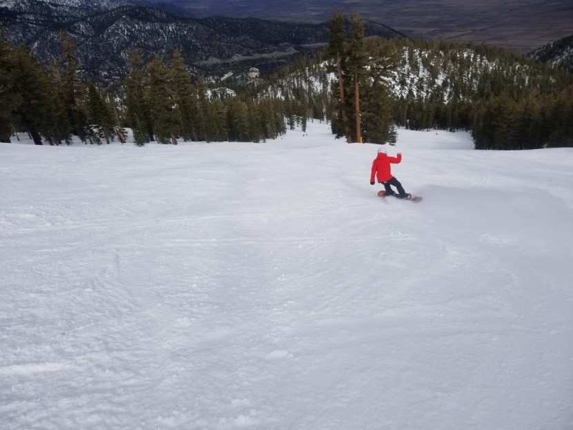 jones twin sister - the twin sister is a great all around board, but not our favorite...