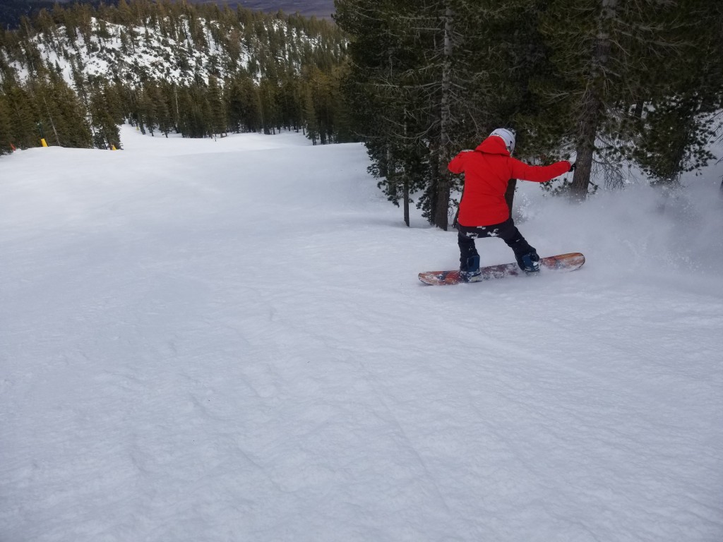 jones twin sister - the twin sister delivers a relatively fun, surfy ride.