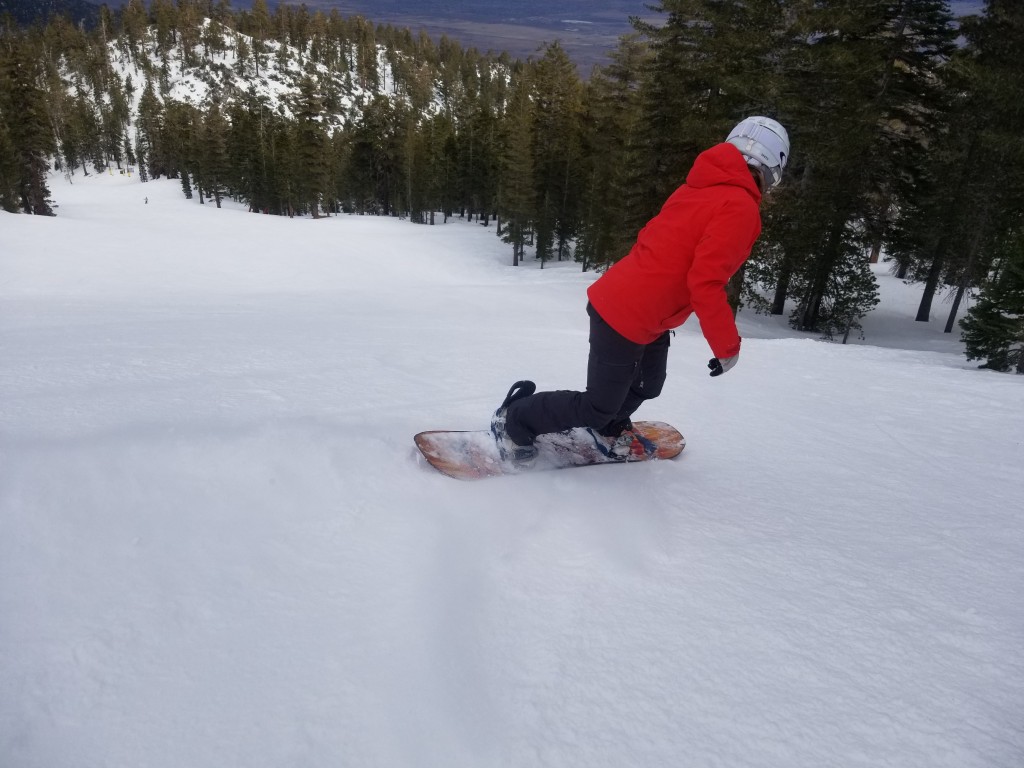 jones twin sister - the twin sister scored well in stability testing.