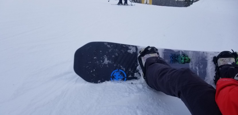 never summer insta/gator