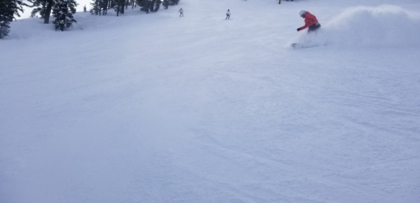 snowboard womens - the insta/gator is super simple at high speeds.