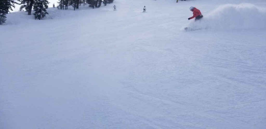 never summer insta/gator - the insta/gator is super simple at high speeds.