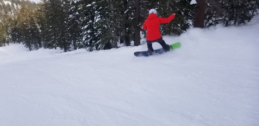 never summer insta/gator