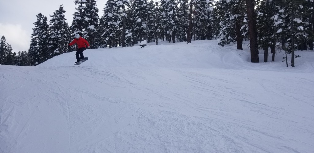 never summer insta/gator