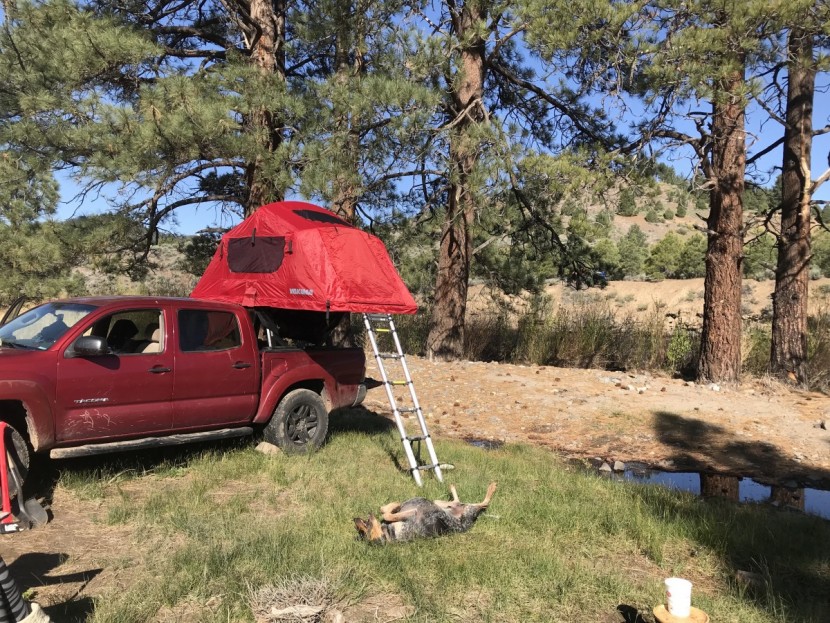 yakima skyrise medium - with a telescoping ladder and no poles to attach, converting the...