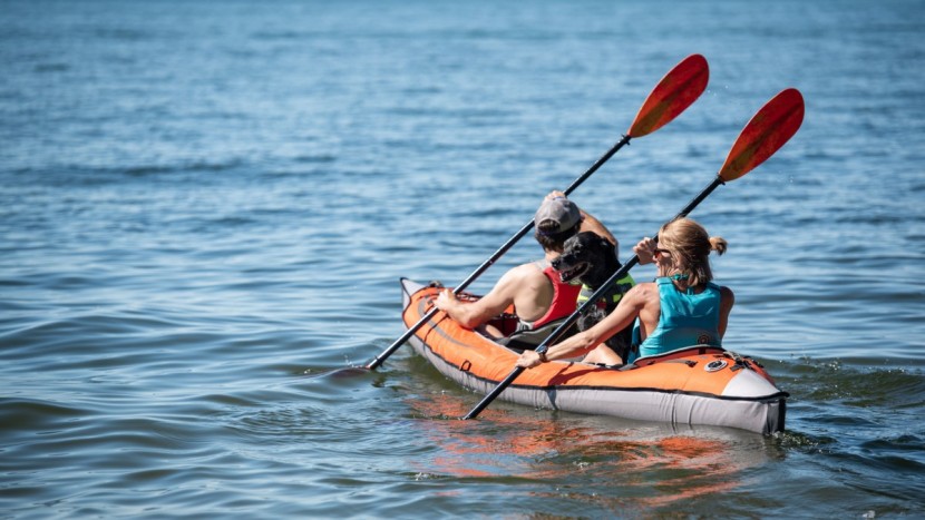 life jacket - some women's pfds offer a better fit than a standard unisex jacket.