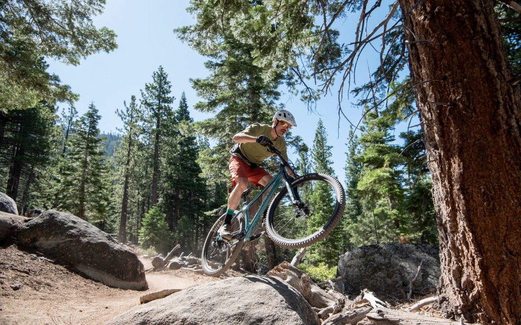 santa cruz chameleon 29 r - the chameleon encourages playful antics and may have you popping off...