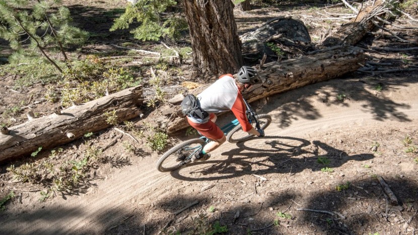 santa cruz chameleon 29 r - versatility is one of the chameleon's strong suits. adjustable...