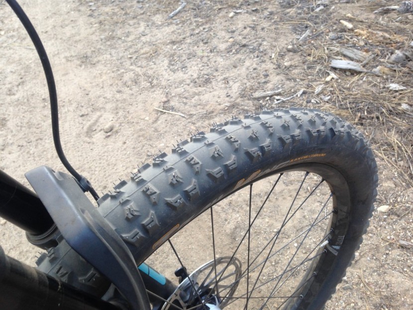 continental trail king protection apex 2.6 - the trail king snapped on the rim remarkably easily.