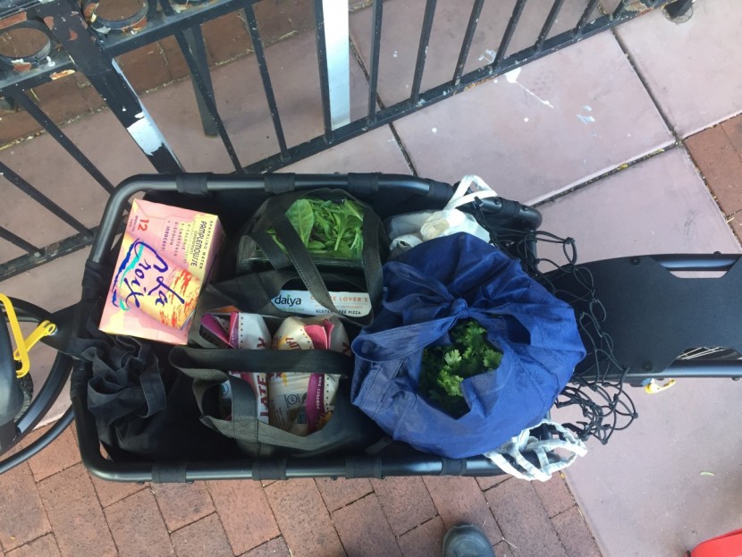 bike cargo trailer - the coho is ultra-versatile, able to tackle single-track touring and...