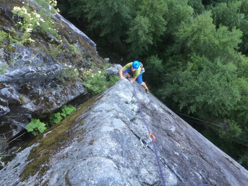 petzl spirit express - while they aren't the cheapest draws you can buy, they aren't nearly...