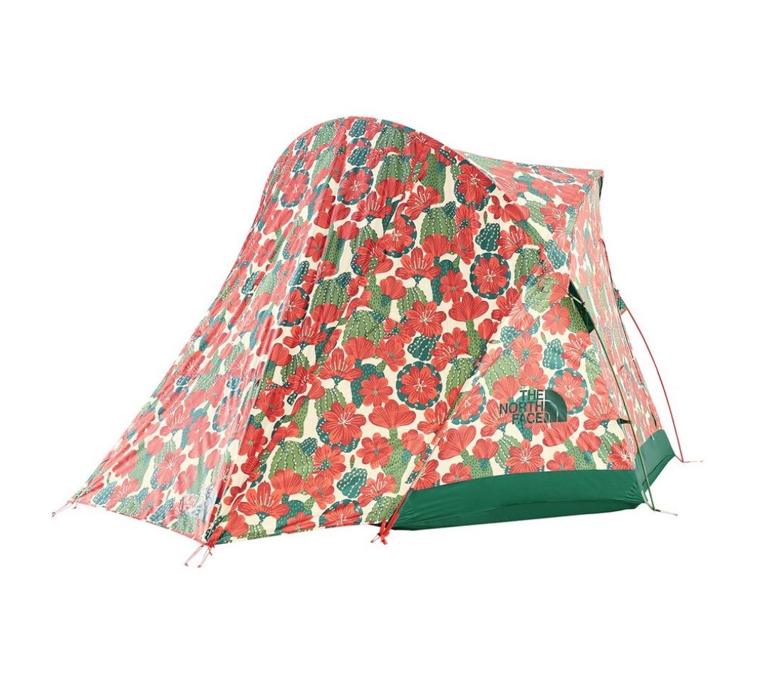 The North Face Homestead Super Dome 4 Review