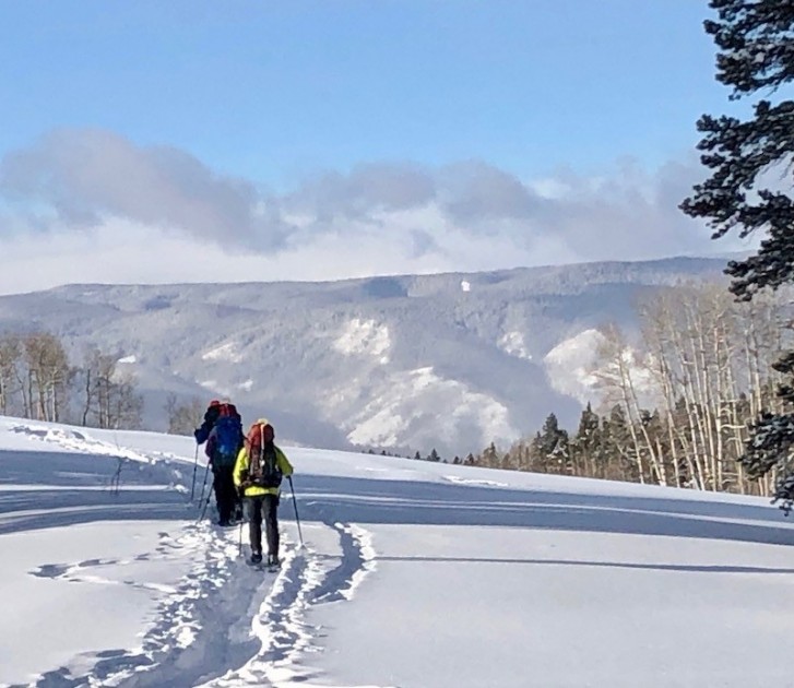 smartwool hike medium crew for women - we pushed the limits of each hiking sock by testing throughout the...