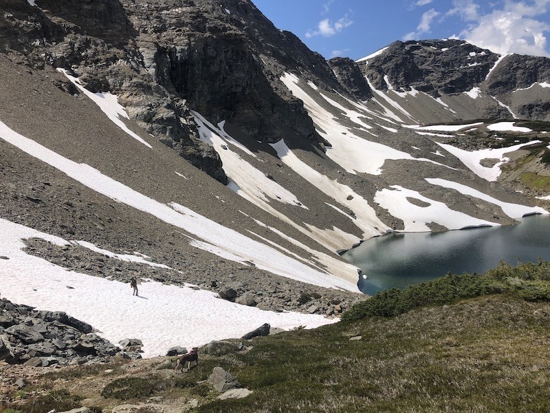 hiking socks - adventuring in british columbia during early spring lead us to high...