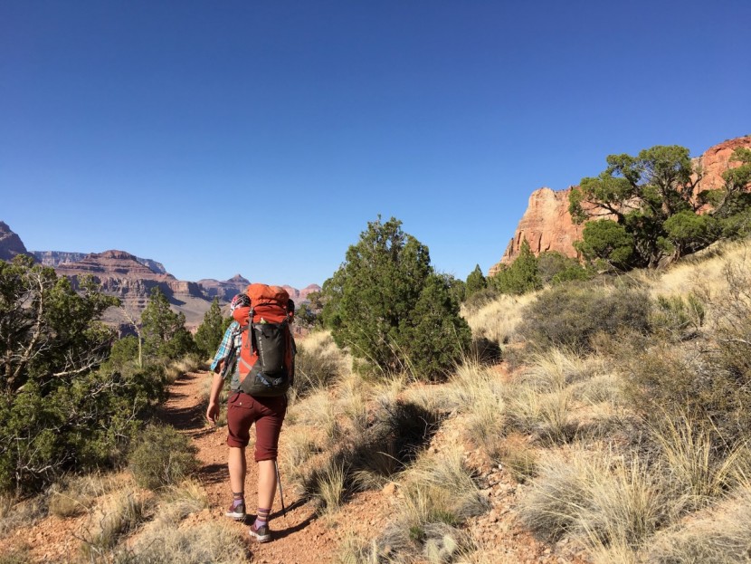 darn tough hiker micro crew cushion for women - the darn tough hiker micro crew is a perfect option for this spring...