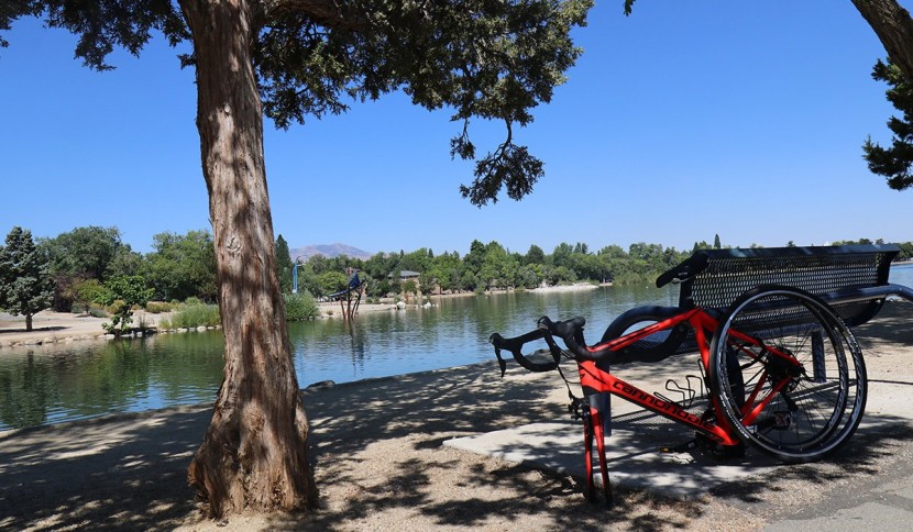 abus chain lock 1200 web - this lock is fine in urban parks as long as you keep an eye on it.