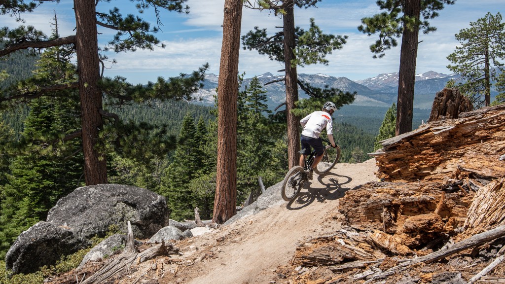 yt decoy cf pro - pedal-assist helps the decoy fly uphill, just watch out for those...