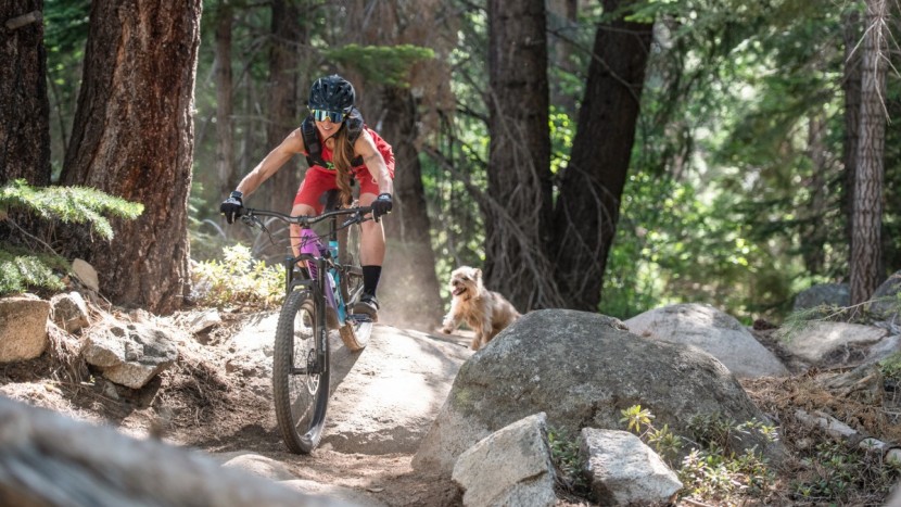 specialized stumpjumper comp carbon 27.5 12-speed for women - even the dog likes the stumpjumper. it does everything well and...
