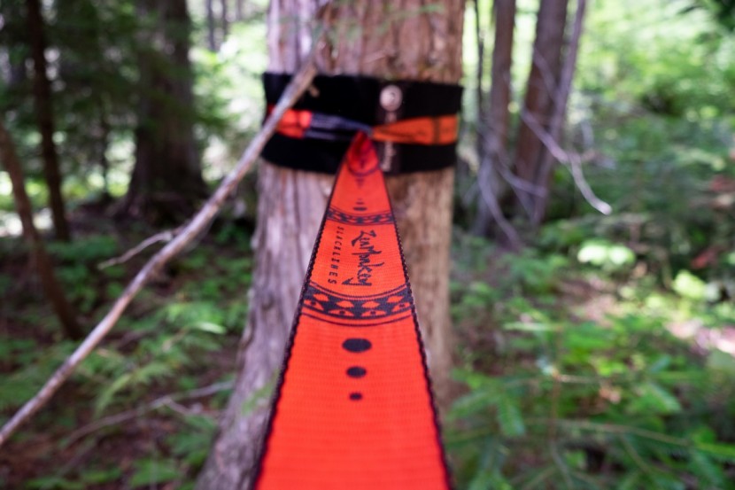 zen monkey complete kit - the kit is visually attractive and well designed.