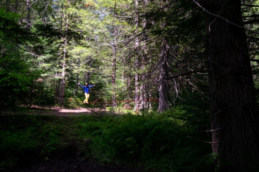 zen monkey complete kit - finding our zen in the woods of northern idaho.