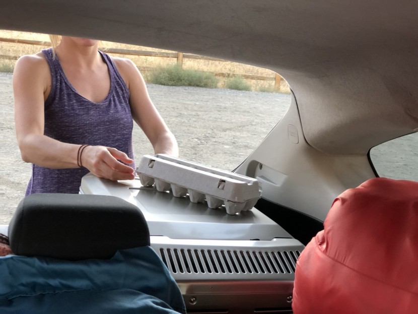 engel platinum mt35 - bring things that most standard coolers can't handle, like eggs in a...