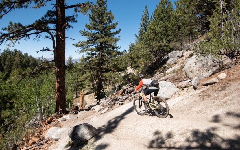 mountain bike tires - braking traction is hugely important in a tire. your needs will vary...