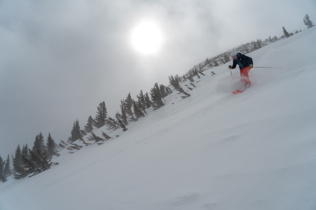 blizzard sheeva 10 - this blizzard ski was fun on a powder day, keeping us afloat with...