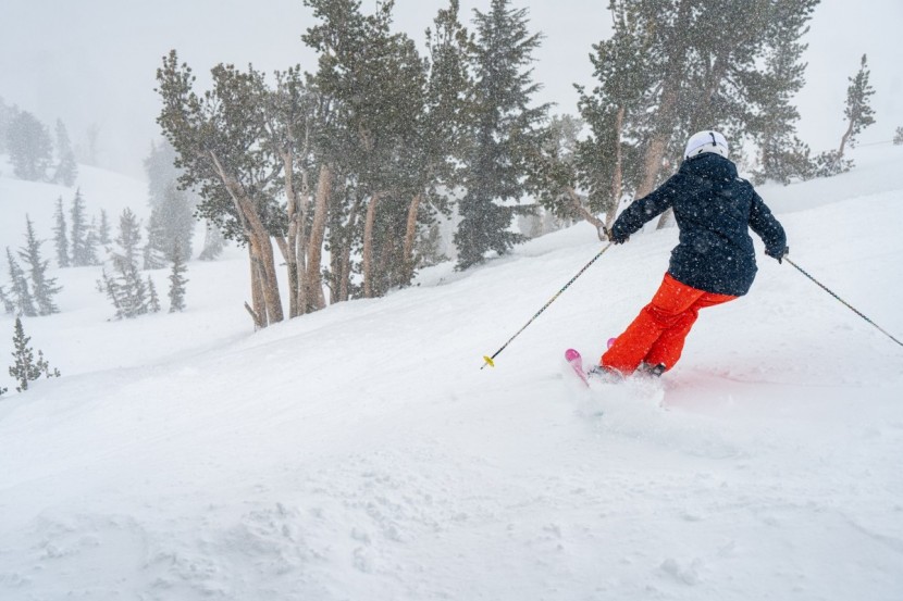 faction dictator 2.0x for women - the dictator makes mincemeat out of any version of choppy snow...