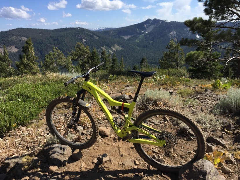 maxxis ardent exo - the ardent on the rear of this bike saw many hundreds of miles of...