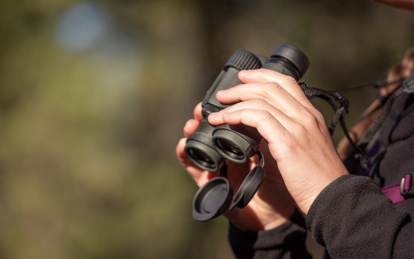 vortex diamondback hd 8x28 - the smaller objective lenses do make for a dimmer image, but the...