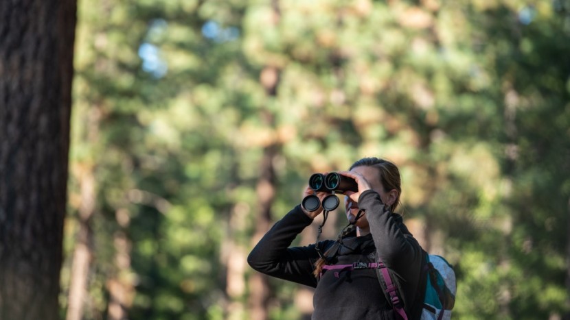 celestron outland x 10x50