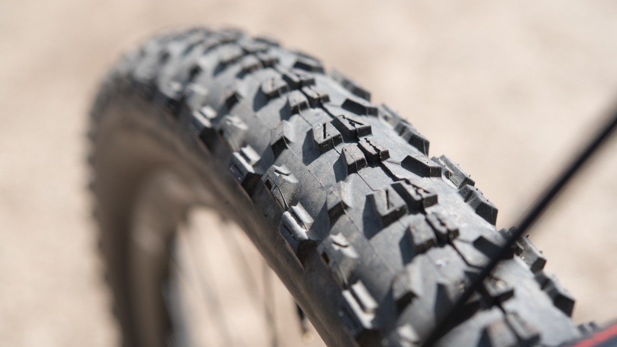 Maxxis Ardent EXO Review (The low profile tread and rounded profile of the Ardent are quite apparent not only in this photo but also in how it...)