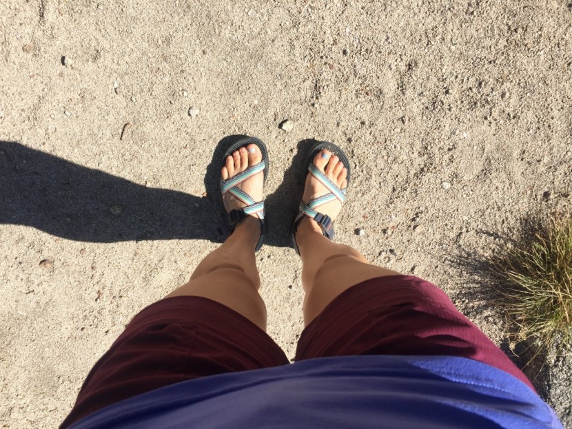 columbia silver ridge stretch ii for women - an affordable and highly recommended pair of hiking shorts for all...