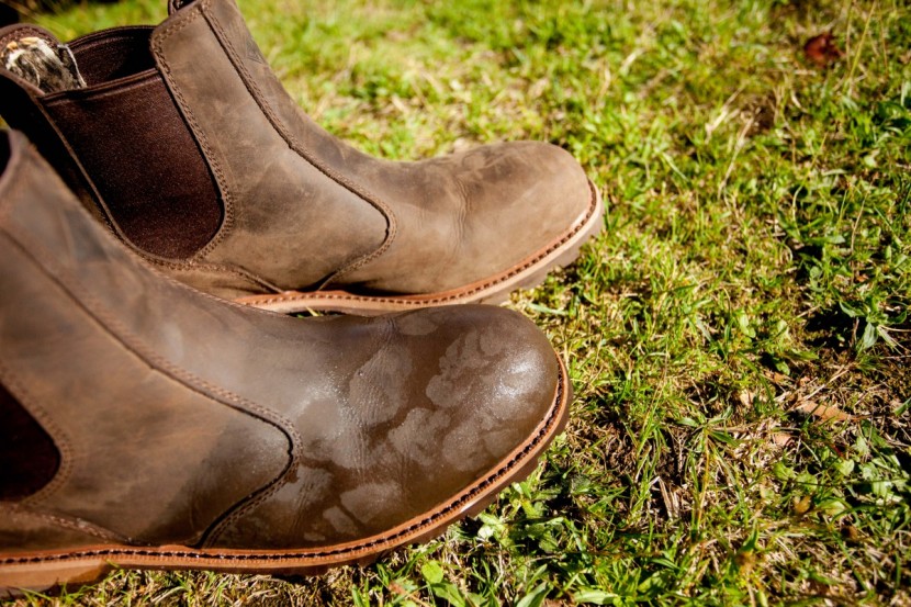 muck boot waterproof chelsea - you can see how the front boot has soaked up some moisture compared...