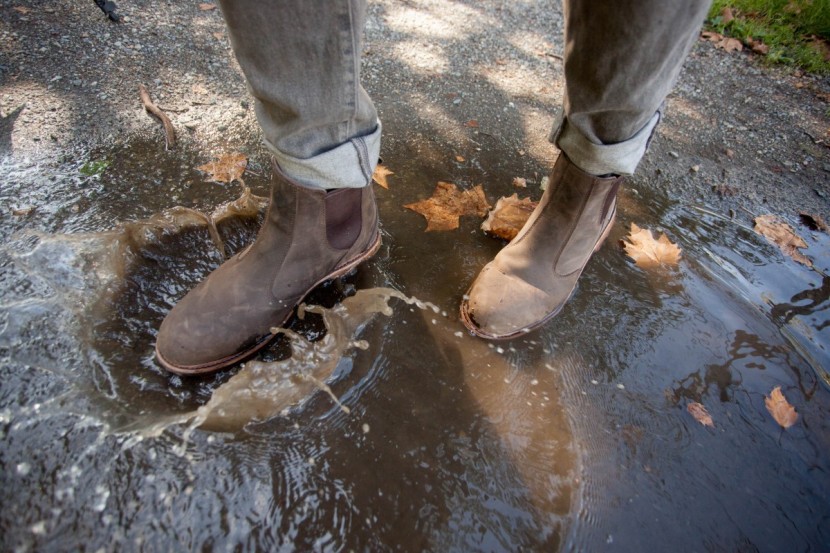 muck boot waterproof chelsea - we love splashing through puddles in pseudo-dress shoes