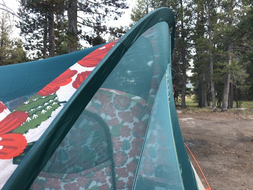 the north face homestead super dome 4 - peak height is reached right at the front door, before dipping down...