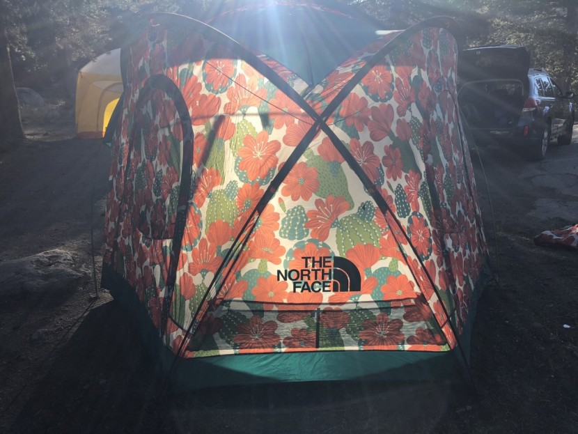 the north face homestead super dome 4 - with two back doors, the homestead offers plenty of access points.