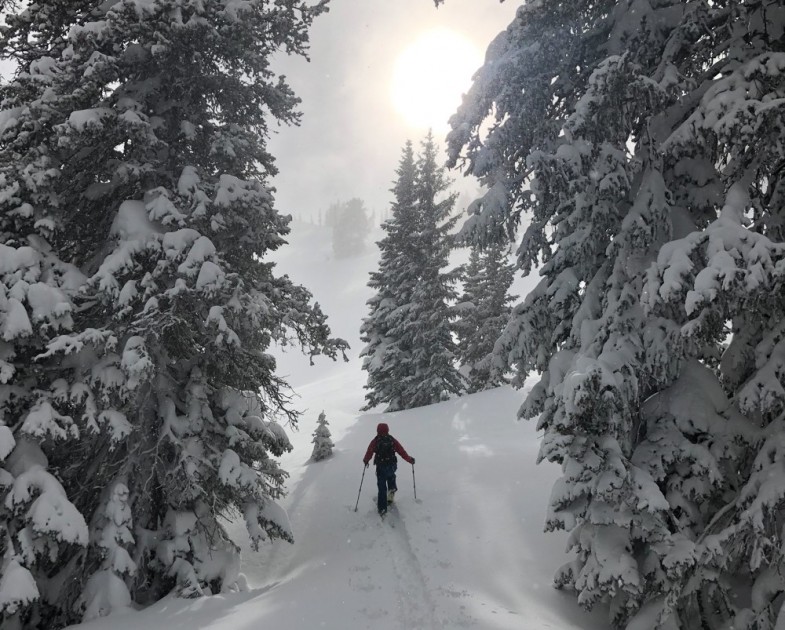at bindings - little discerns touring ability of ski bindings than a few thousand...