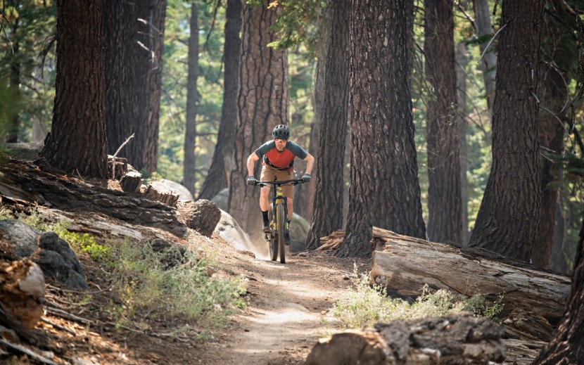 santa cruz tallboy carbon c s - the vpp platform is incredibly calm under seated pedaling with...