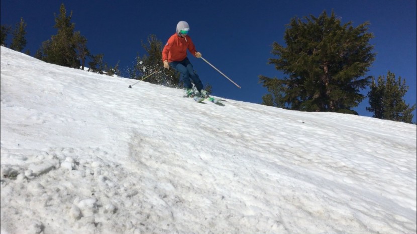 dalbello ds 130 - quick edge to edge and super stiff, the ds 130 is a high-performance...