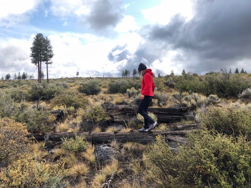 the north face ultra 110 gtx for women - testing traction on a wet log.