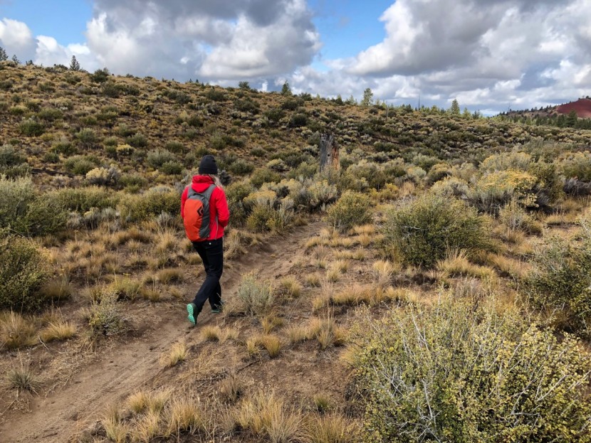 arc'teryx aerios fl gtx for women - our top pick for being light and fast, this shoe performed well on...