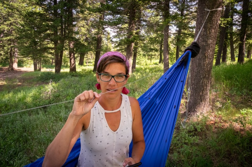 dutchware chameleon - every time we sat up, the ridgeline was right in our faces.