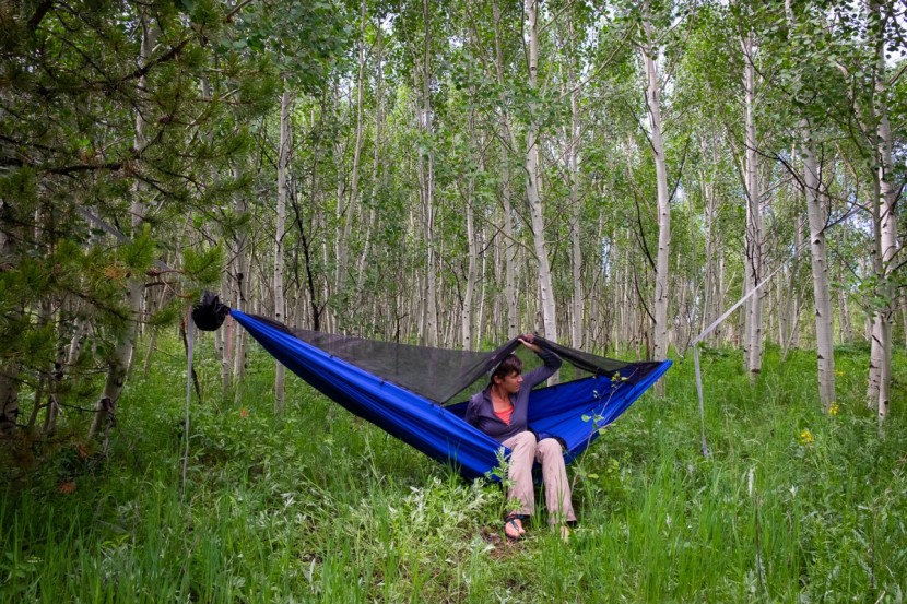 hammock - the dutchware chameleon lives up to its namesake, as an entirely...