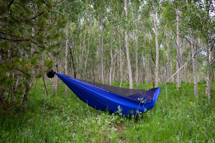 dutchware chameleon - with or without the angles staked out, we found the hammock to be...