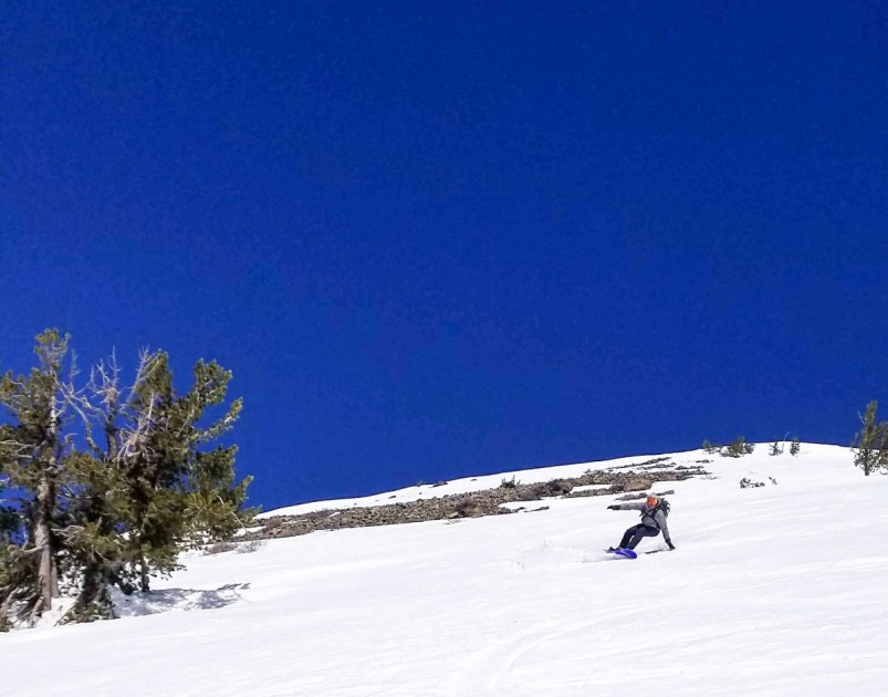 spark r&amp;d arc - the arc is suited for all objectives and provides a responsive feel...