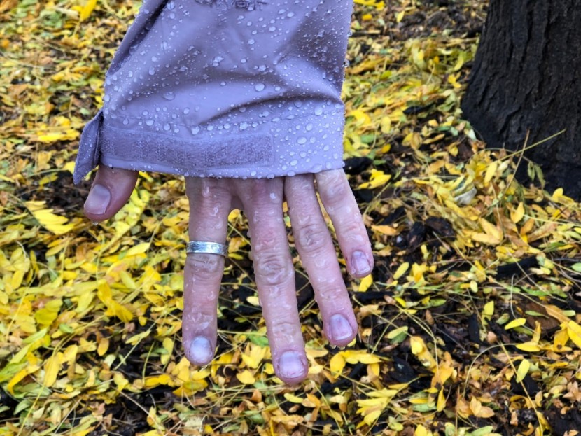 the north face venture 2 for women - unfortunately, the venture 2 does let rain through after too much...