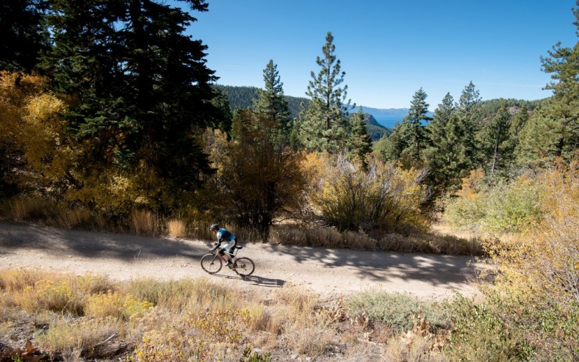 giant revolt advanced 3 - in or out of the saddle, the revolt feels right at home when riding...